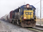 CSX 8619